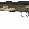 cz 457 varmint precision trainer sr 2